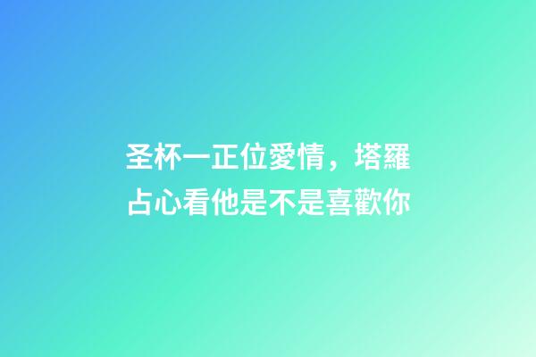 圣杯一正位愛情，塔羅占心看他是不是喜歡你-第1張-觀點-玄機派
