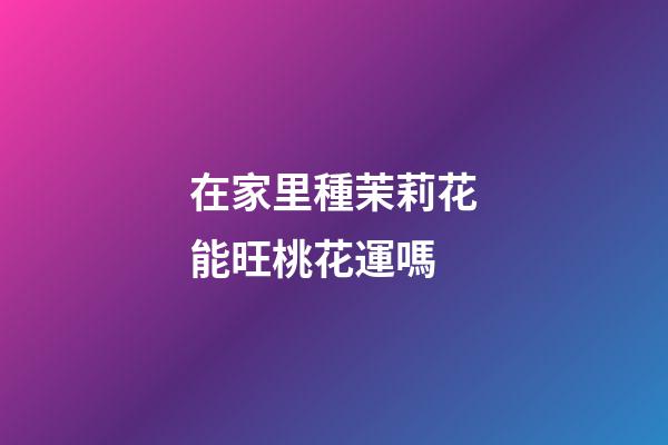 在家里種茉莉花能旺桃花運嗎