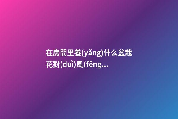 在房間里養(yǎng)什么盆栽花對(duì)風(fēng)水好