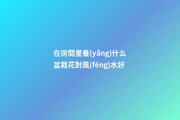 在房間里養(yǎng)什么盆栽花對風(fēng)水好