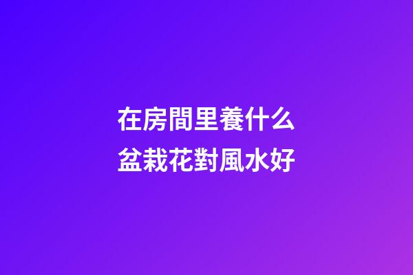 在房間里養什么盆栽花對風水好