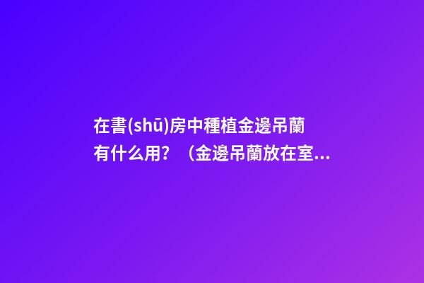 在書(shū)房中種植金邊吊蘭有什么用？（金邊吊蘭放在室內(nèi)好嗎）