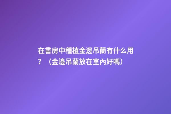 在書房中種植金邊吊蘭有什么用？（金邊吊蘭放在室內好嗎）