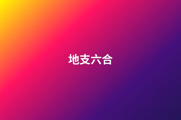 地支六合