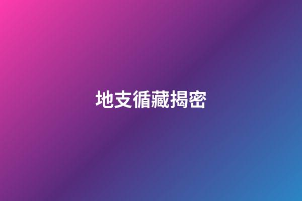 地支循藏揭密