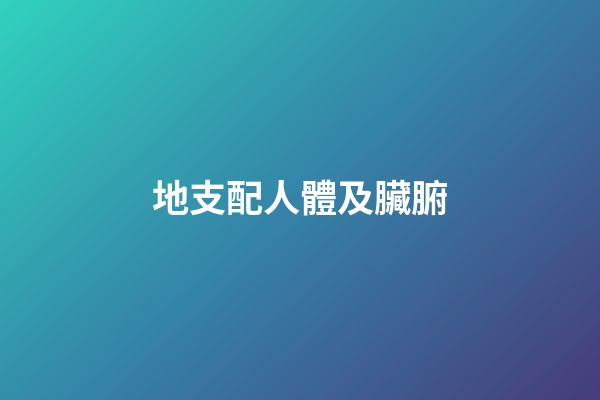 地支配人體及臟腑