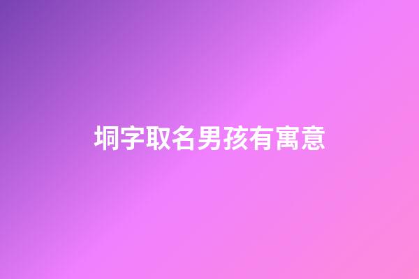 垌字取名男孩有寓意(垌字適合起名字嗎)-第1張-男孩起名-玄機派