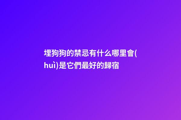 埋狗狗的禁忌有什么?哪里會(huì)是它們最好的歸宿?