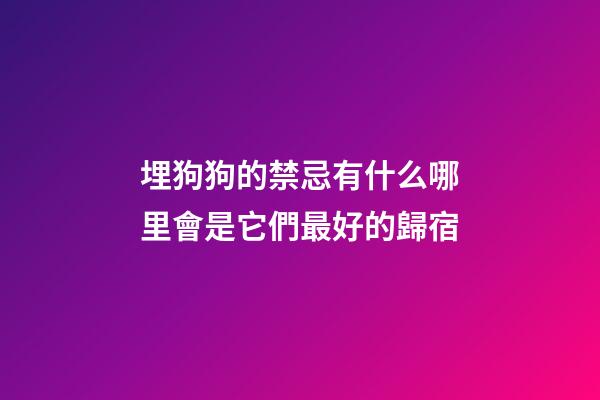 埋狗狗的禁忌有什么?哪里會是它們最好的歸宿?