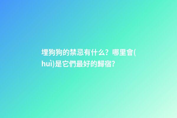 埋狗狗的禁忌有什么？哪里會(huì)是它們最好的歸宿？