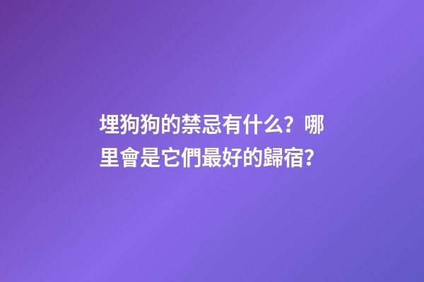 埋狗狗的禁忌有什么？哪里會是它們最好的歸宿？