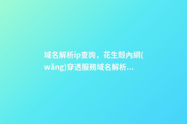 域名解析ip查詢，花生殼內網(wǎng)穿透服務域名解析出現(xiàn)問題的解決方法-第1張-觀點-玄機派