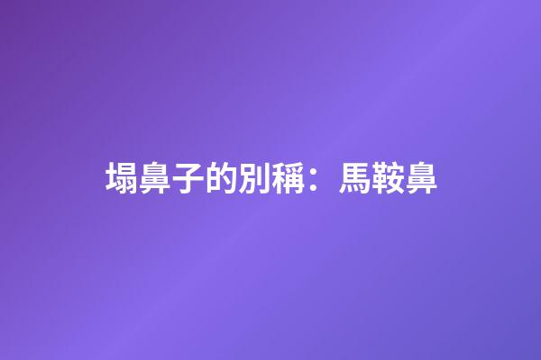 塌鼻子的別稱：馬鞍鼻