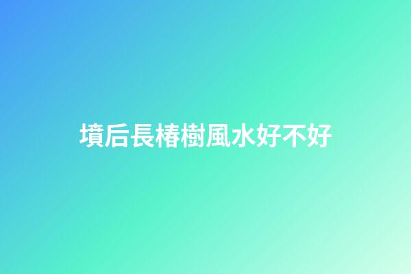 墳后長椿樹風水好不好