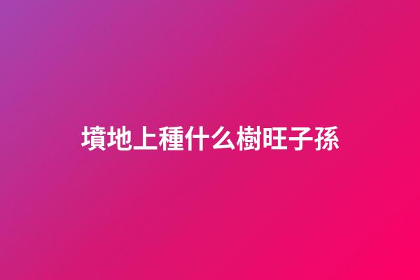 墳地上種什么樹旺子孫