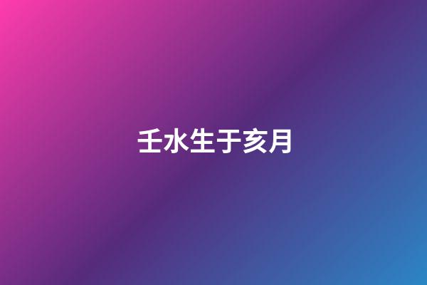 壬水生于亥月