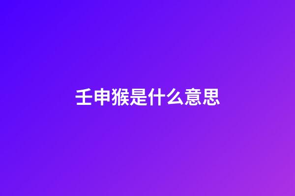 壬申猴是什么意思