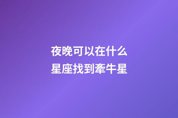 夜晚可以在什么星座找到牽牛星