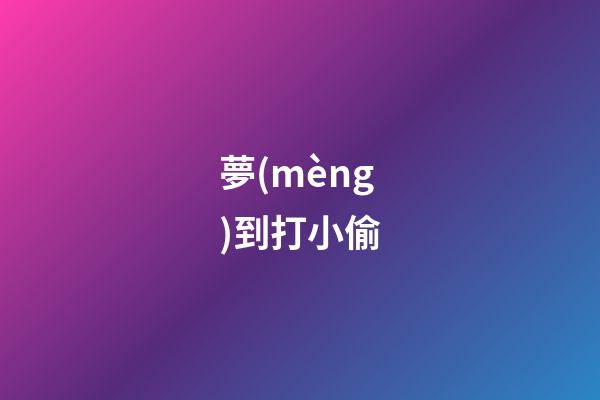 夢(mèng)到打小偷