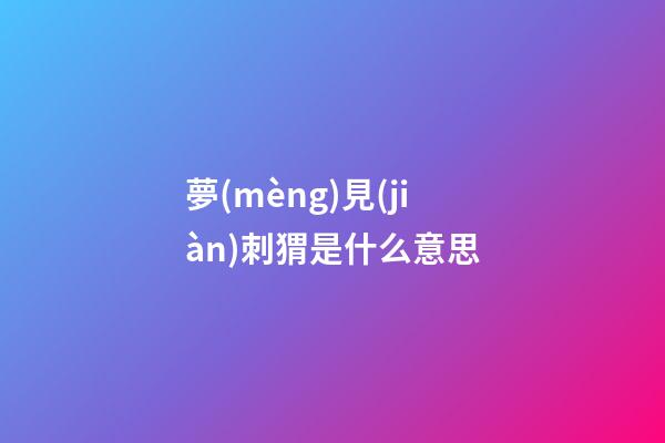 夢(mèng)見(jiàn)刺猬是什么意思