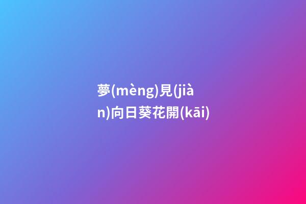 夢(mèng)見(jiàn)向日葵花開(kāi)