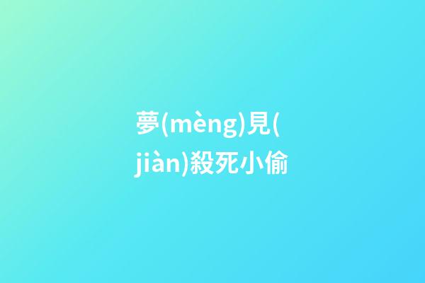 夢(mèng)見(jiàn)殺死小偷