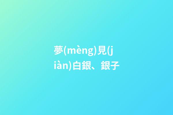 夢(mèng)見(jiàn)白銀、銀子