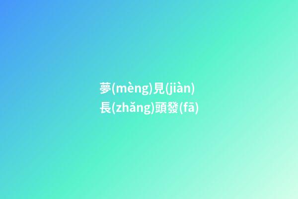 夢(mèng)見(jiàn)長(zhǎng)頭發(fā)