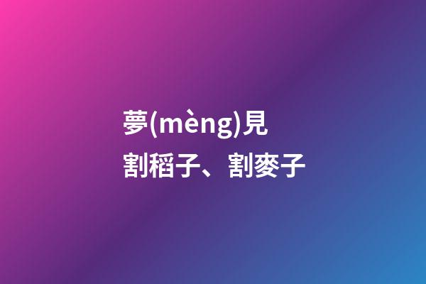 夢(mèng)見割稻子、割麥子