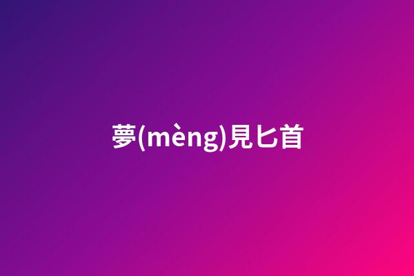 夢(mèng)見匕首