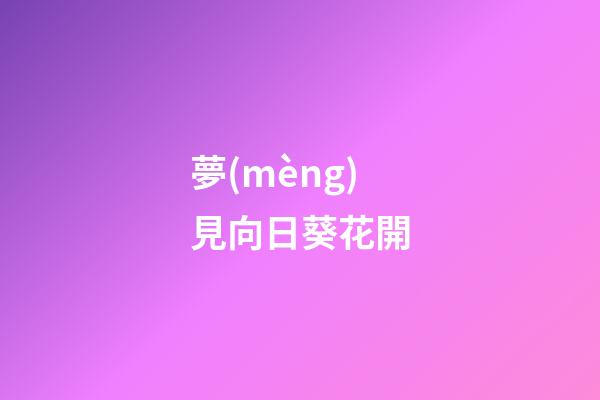 夢(mèng)見向日葵花開
