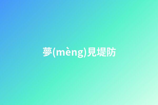 夢(mèng)見堤防