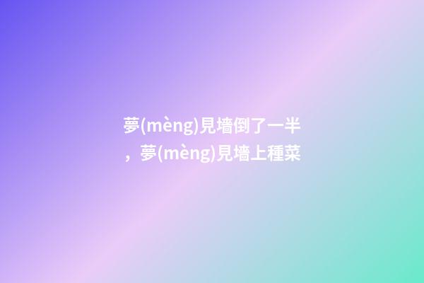 夢(mèng)見墻倒了一半，夢(mèng)見墻上種菜-第1張-觀點(diǎn)-玄機(jī)派