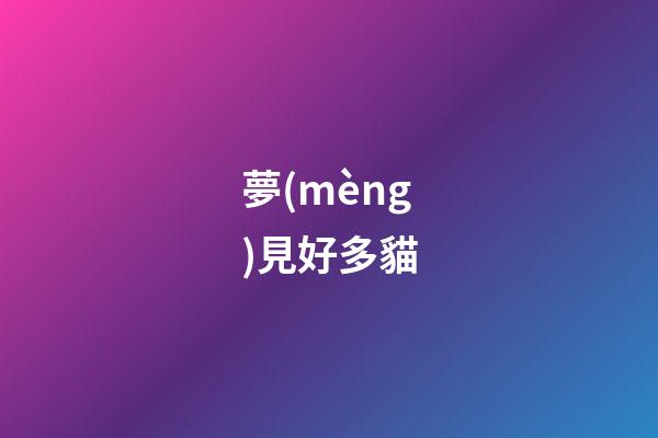 夢(mèng)見好多貓