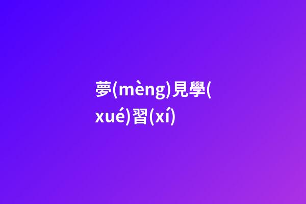 夢(mèng)見學(xué)習(xí)