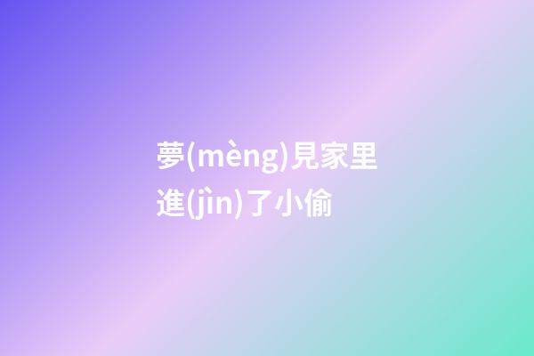 夢(mèng)見家里進(jìn)了小偷