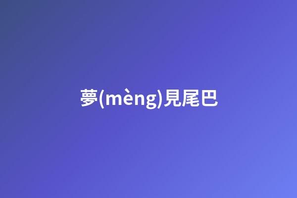 夢(mèng)見尾巴