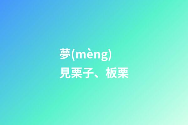 夢(mèng)見栗子、板栗