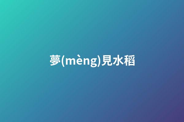 夢(mèng)見水稻