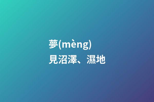 夢(mèng)見沼澤、濕地