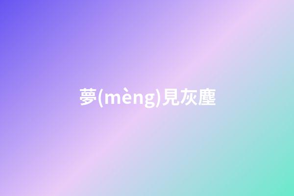 夢(mèng)見灰塵