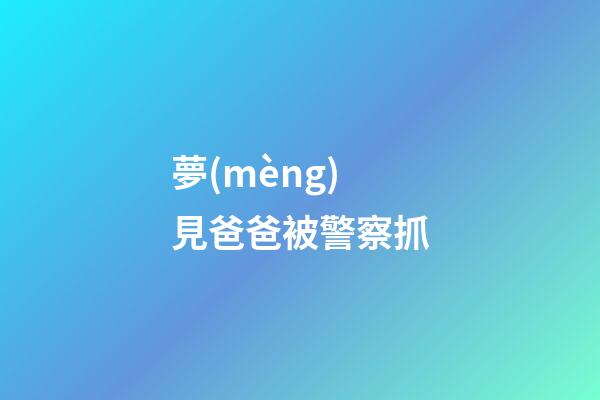夢(mèng)見爸爸被警察抓