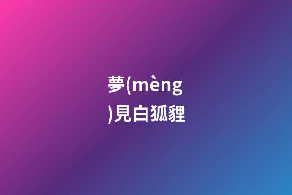 夢(mèng)見白狐貍
