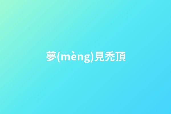 夢(mèng)見禿頂