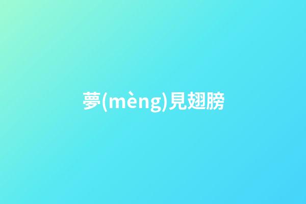 夢(mèng)見翅膀