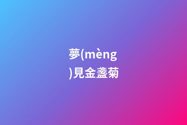 夢(mèng)見金盞菊