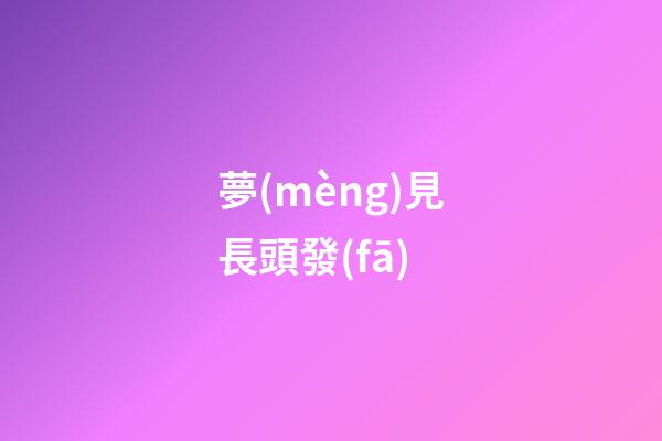夢(mèng)見長頭發(fā)