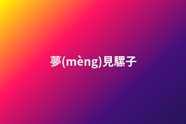 夢(mèng)見騾子