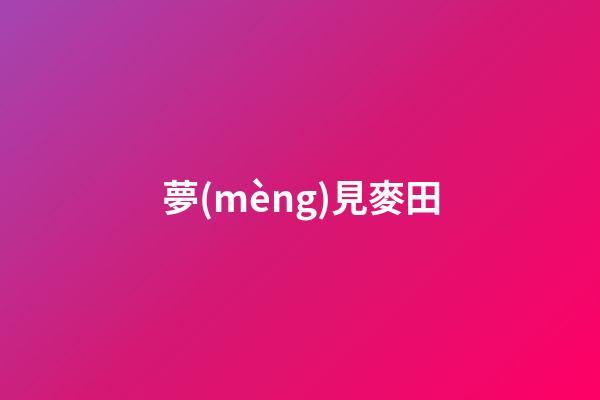 夢(mèng)見麥田