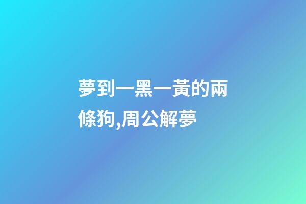 夢到一黑一黃的兩條狗,周公解夢-第1張-觀點-玄機派